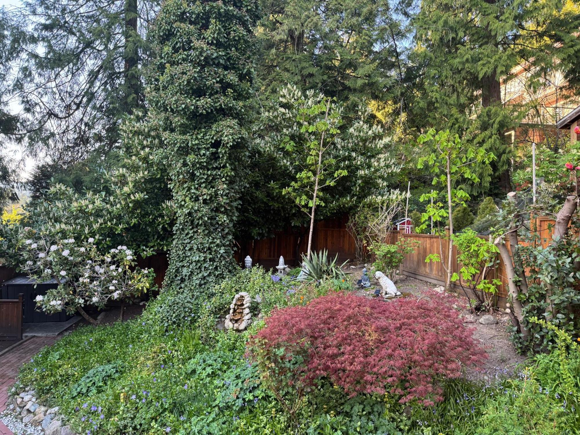 Beautiful Modern Suite North Vancouver Exterior photo