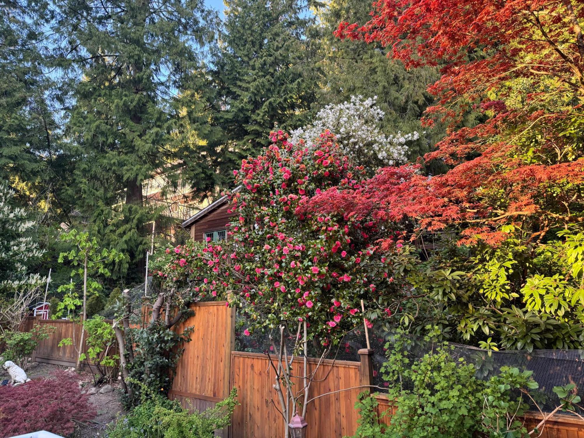 Beautiful Modern Suite North Vancouver Exterior photo